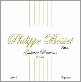 Philippe Bosset Klassik Satz 8-String Low B Tuning