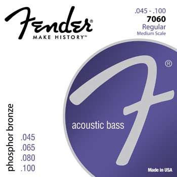 Fender 7060R Acoustic Bass