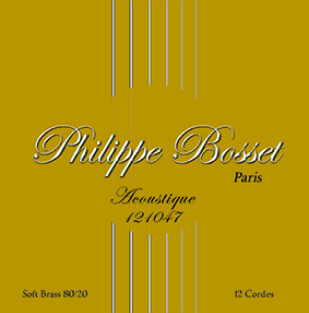 Philippe Bosset 12-String Acoustic Satz Bronze